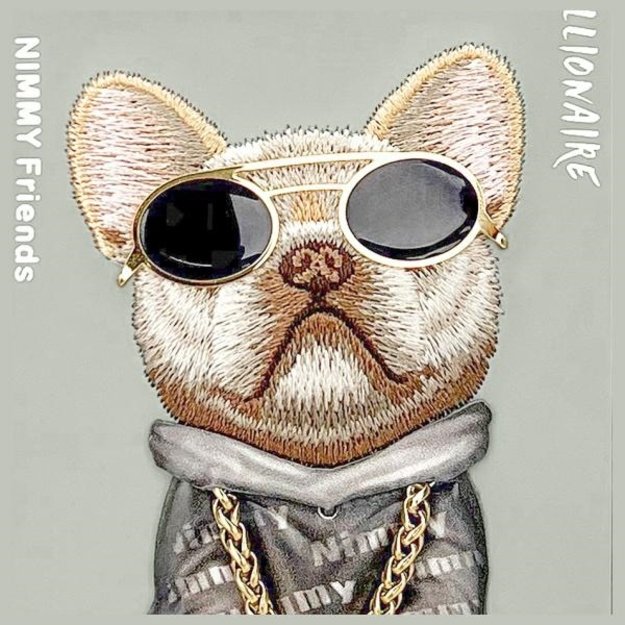 Nimmy Glasses Cool Dog iPhone 15 Pro Case - Gray 6