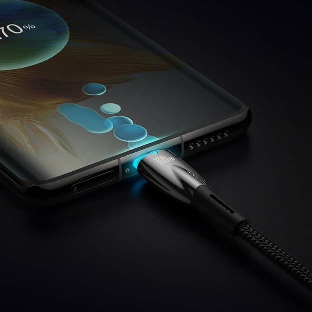 Baseus Glimmer Series Fast Charging Cable USB-C 480Mbps PD 100W 2m Black 19