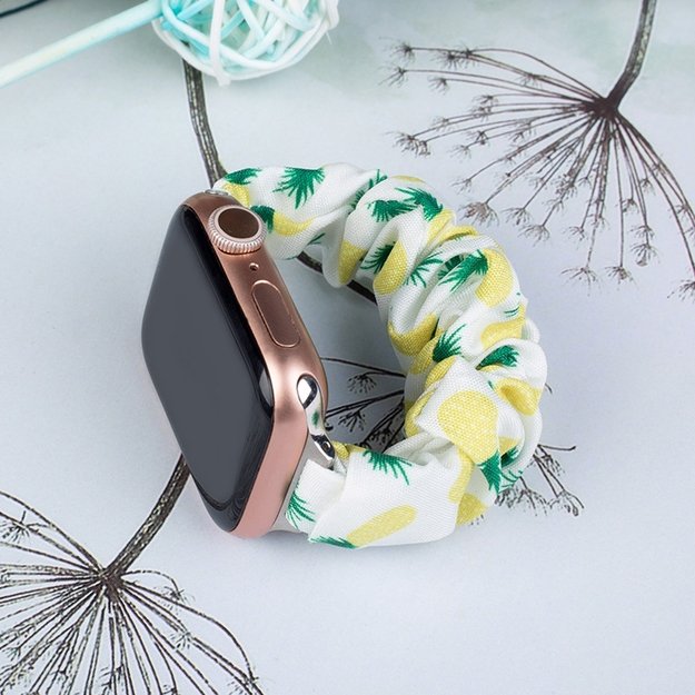 Fabric band for Apple Watch 38 / 40 / 41 mm strap bracelet rubber band - pineapple 11