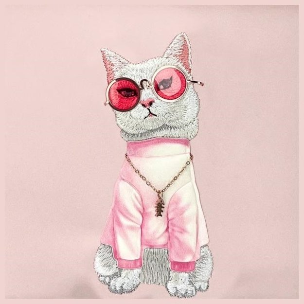 Nimmy Crossbody Glasses Cool Cat Shoulder Bag - Pink 2