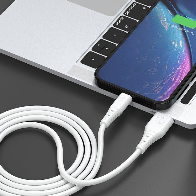 Dudao cable USB - USB Type C 6A cable 1 m white (TGL3T) 2