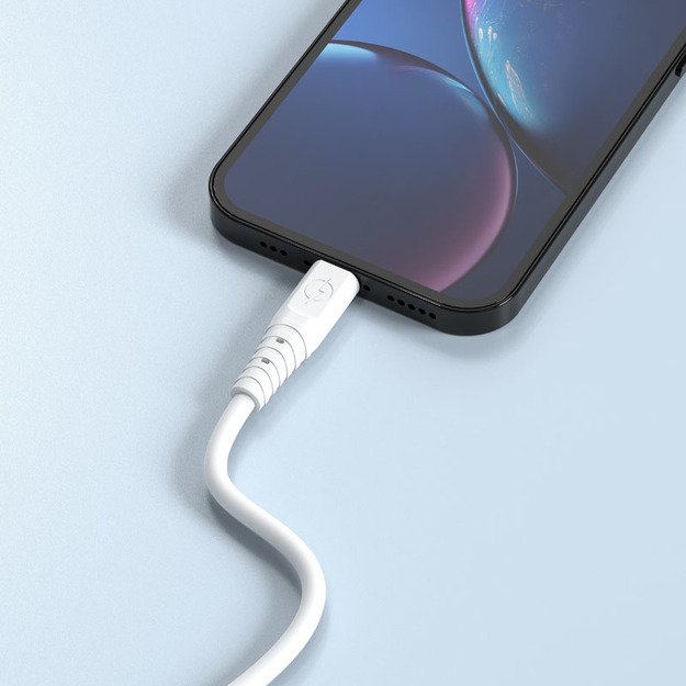 Dudao cable USB - USB Type C 6A cable 1 m white (TGL3T) 3