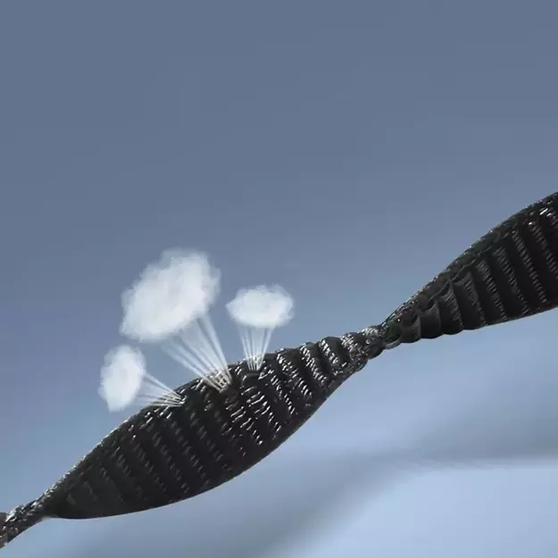 Tech-Protect Nylon Strap for Xiaomi Smart Band 8 / 8 NFC - Black 2