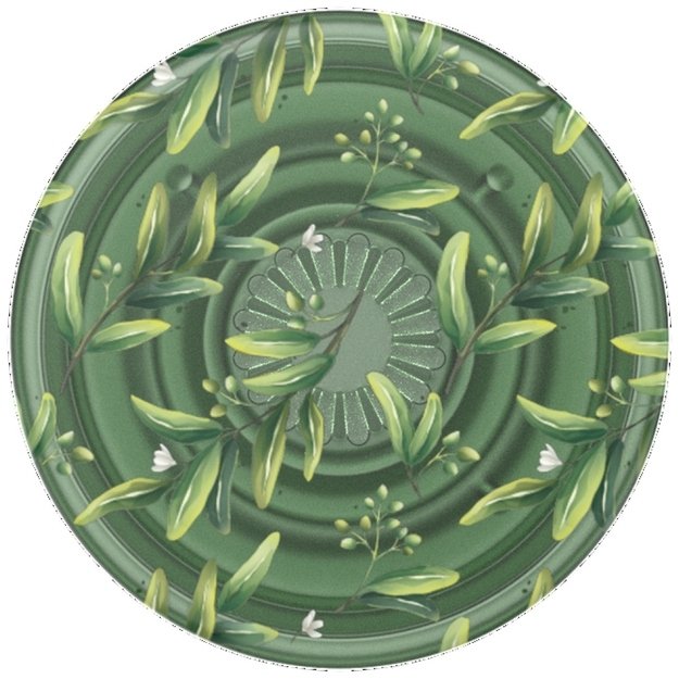 Popsockets PlantCore Grip Olive and Phone Stand 1