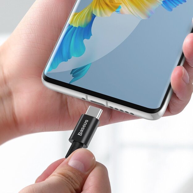 Baseus CATYS-B01 USB-C - USB-C PD QC FCP cable 100W 5A 480Mb/s 1m - black 12