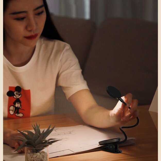 Baseus mini lamp LED lamp with clip gray (DGRAD-0G) 12