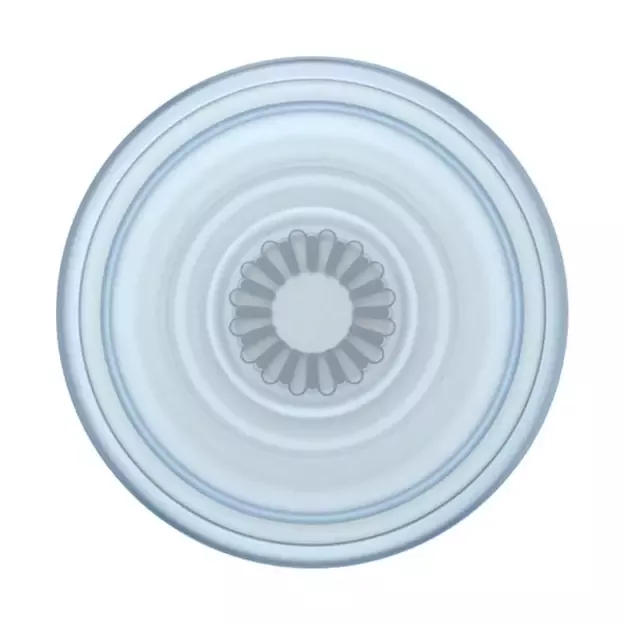 Popsockets PlantCore Grip Ice Blue and Phone Stand 1
