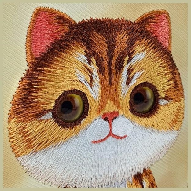Nimmy Big Eyed Pet 2.0 Cat Case for iPhone 15 Pro - Green 6