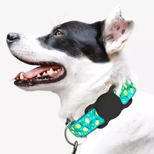 Apple AirTag Silicone Case for Dog or Cat Collar - Black 5