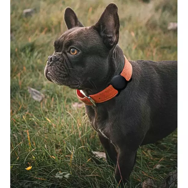 Apple AirTag Silicone Case for Dog or Cat Collar - Black 8