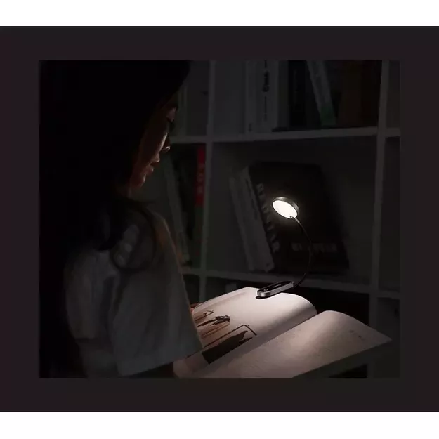 Baseus mini lamp LED lamp with clip gray (DGRAD-0G) 16