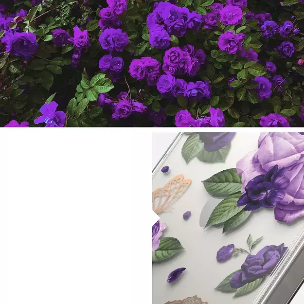 Ringke Fusion Design Armored Case Cover with Gel Frame for iPhone 14 Plus transparent (Purple rose) (FD637E29) 22