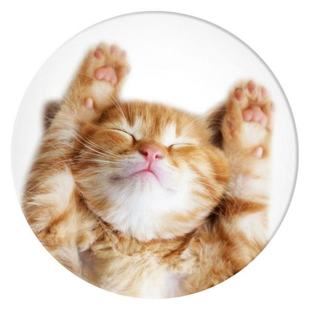 Popsockets 2 Snoozy Cat Holder and Phone Stand 1