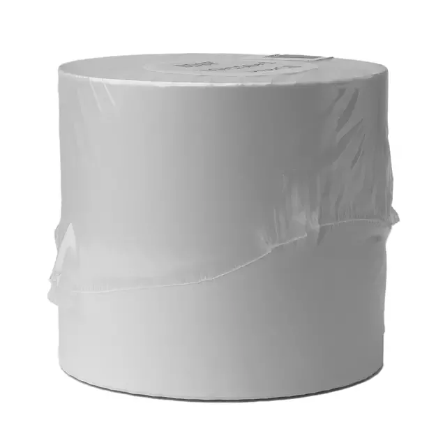 Thermal labels 100x150mm (500 pieces) - white 10