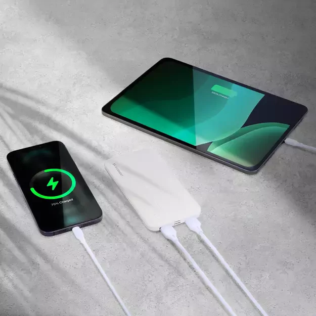 Wozinsky powerbank Li-Po 10000mAh 2 x USB white (WPBWE1) 9