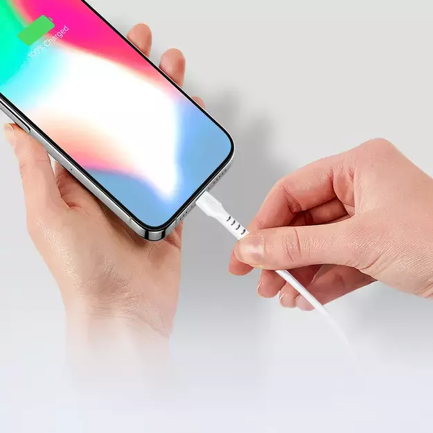 SBS TECABLETCC10W USB-C Cable - USB-C Power Delivery 25W 1 m - white 14